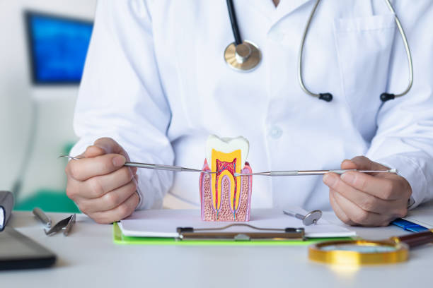 Best Knocked-Out Tooth Emergency  in Dewart, PA